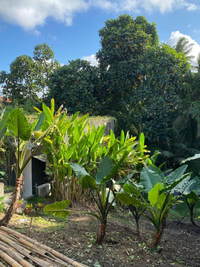 The Civyt Ubud Exterior foto